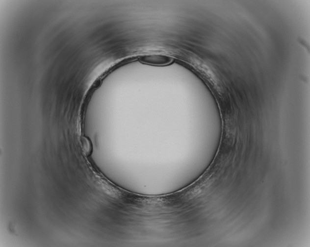 X0000096701328200803041313