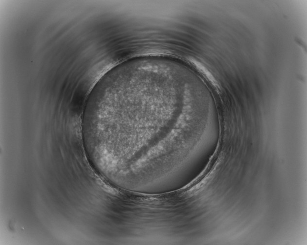 X0000096701329200803041313