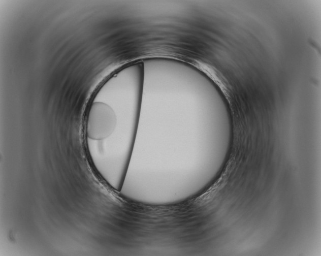 X0000096701331200803041313