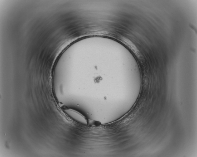 X0000096701332200803041313