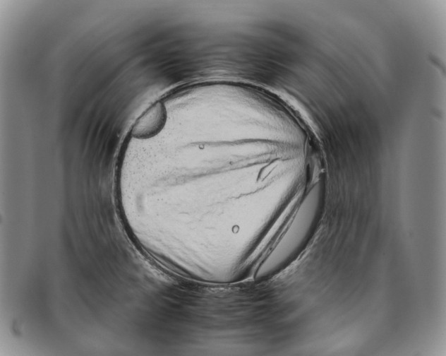 X0000096701333200803041313