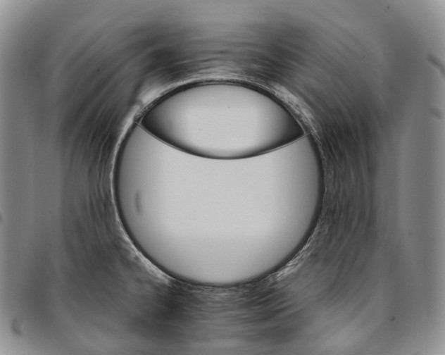 X0000096701334200803041313