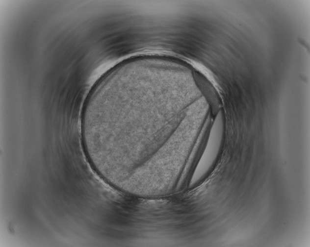 X0000096701335200803041313