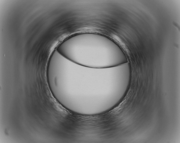 X0000096701336200803041313
