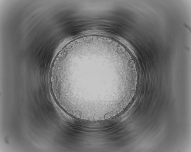 X0000096701338200803041313