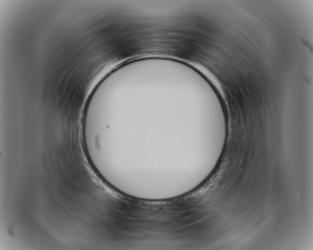 X0000096701341200803041313