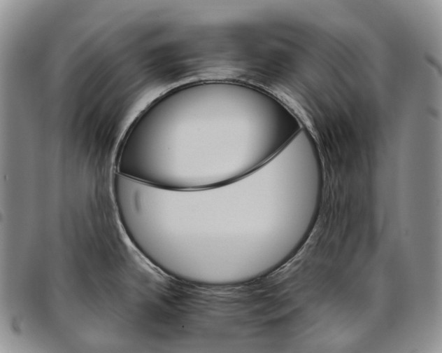 X0000096701342200803041313