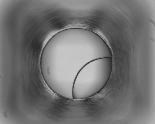 X0000096701344200803041313