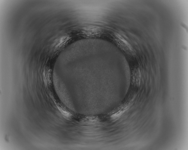 X0000096701346200803041313