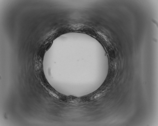 X0000096701349200803041313