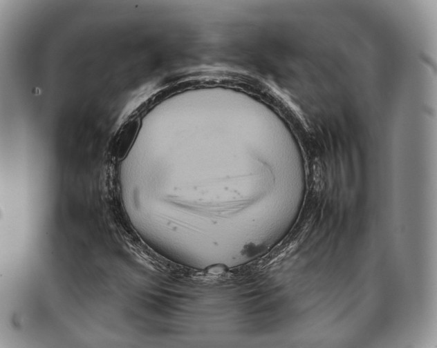 X0000096701352200803041313