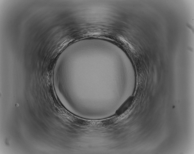 X0000096701353200803041313