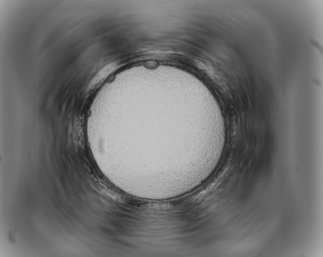 X0000096701354200803041313