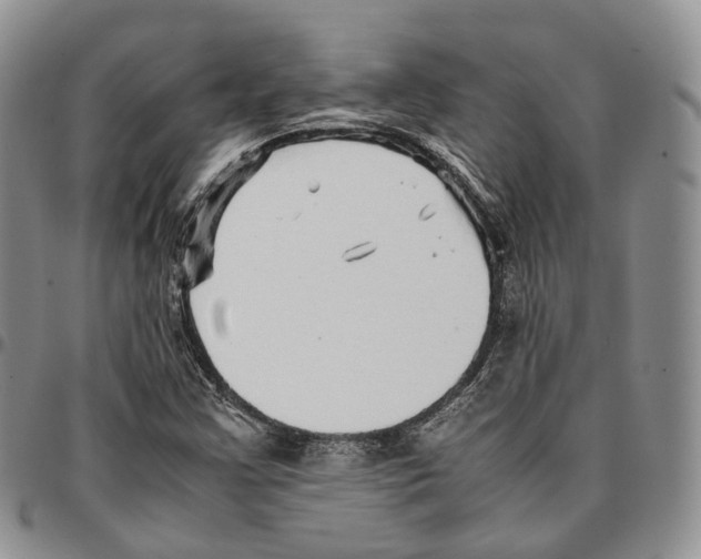 X0000096701355200803041313