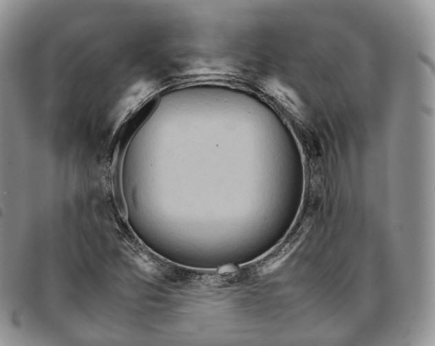 X0000096701357200803041313