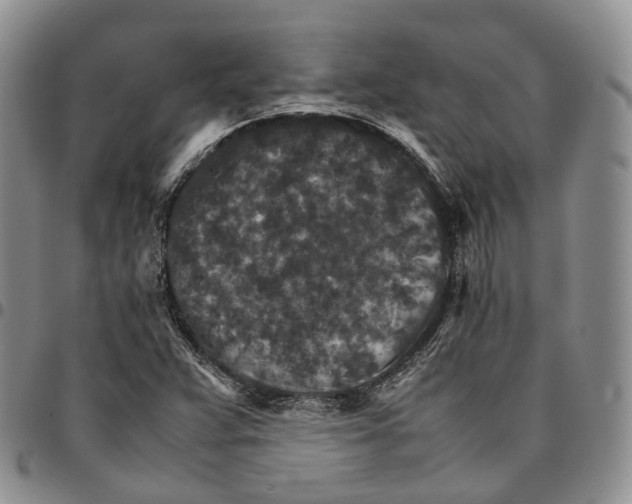 X0000096701359200803041313