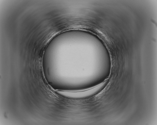 X0000096701361200803041313