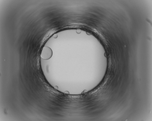 X0000096701362200803041313