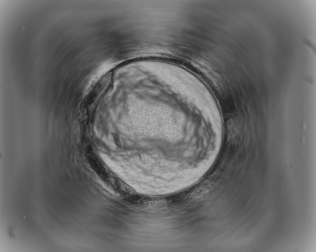 X0000096701363200803041313