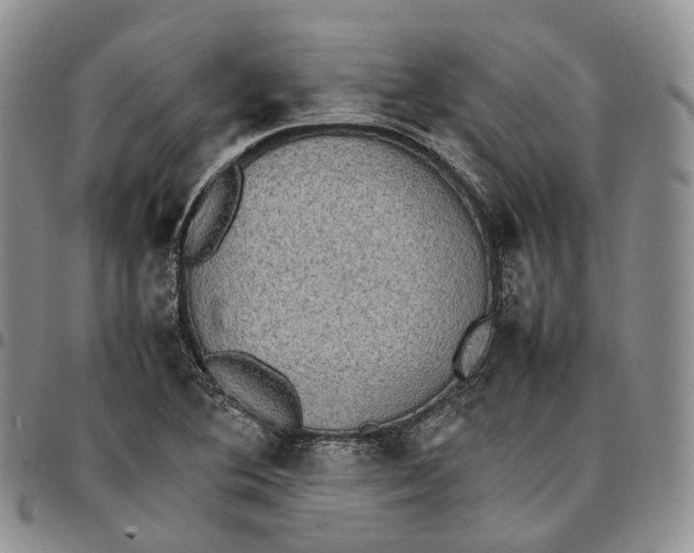 X0000096701364200803041313
