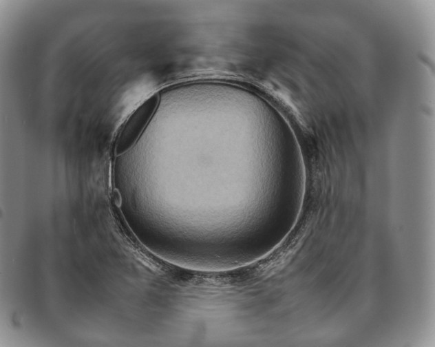X0000096701365200803041313