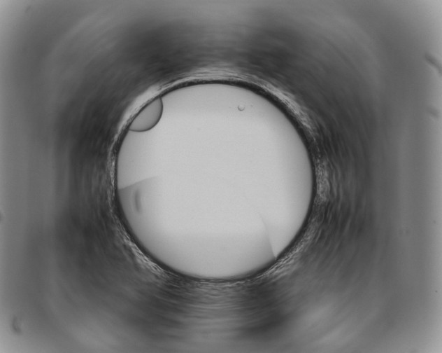 X0000096701366200803041313