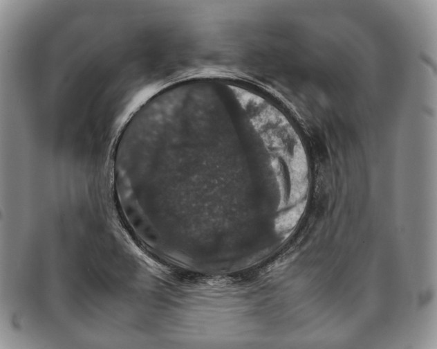 X0000096701367200803041313