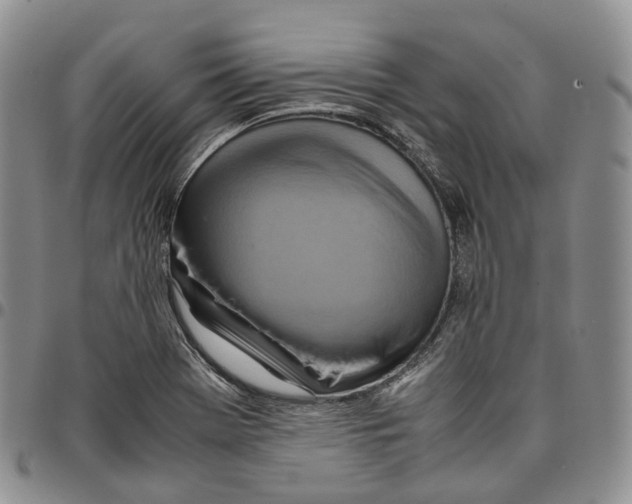 X0000096701369200803041313