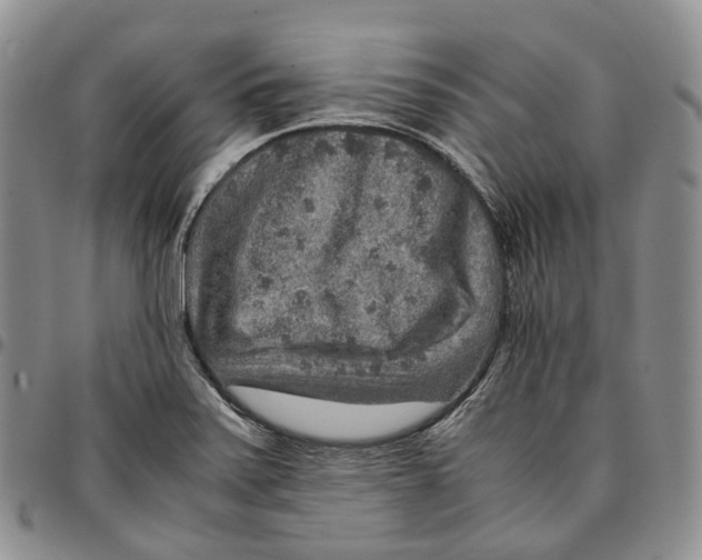 X0000096701371200803041313