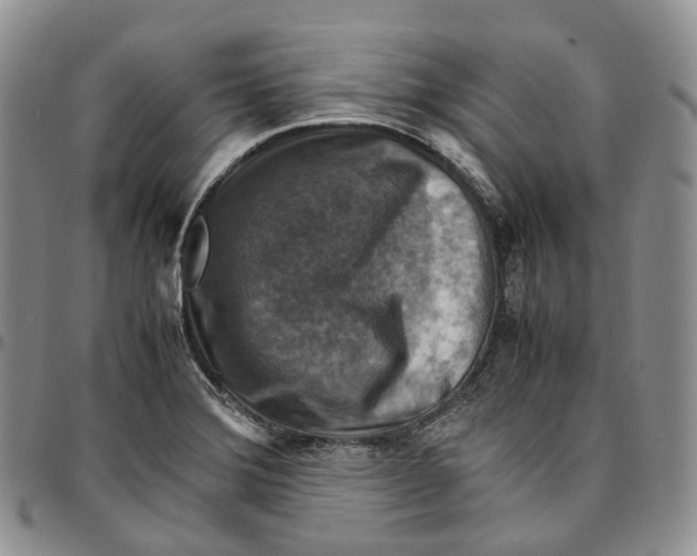 X0000096701372200803041313