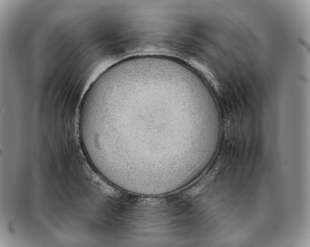 X0000096701374200803041313