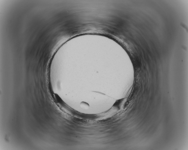 X0000096701375200803041313