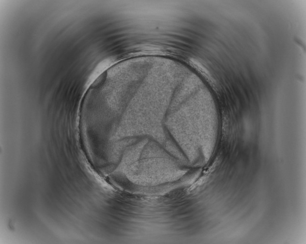 X0000096701378200803041313