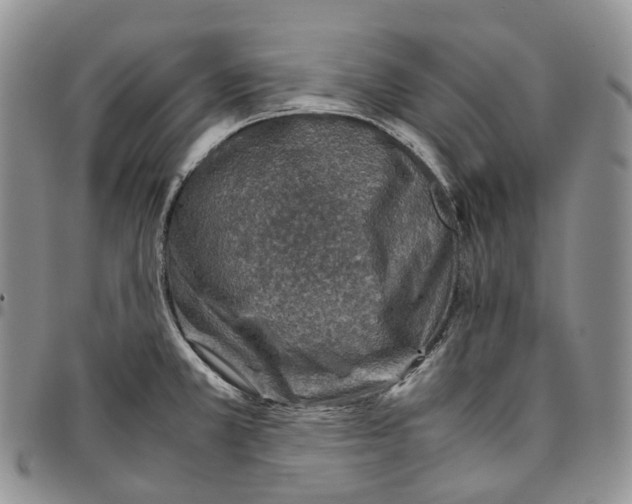 X0000096701381200803041312