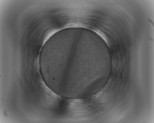 X0000096701382200803041312