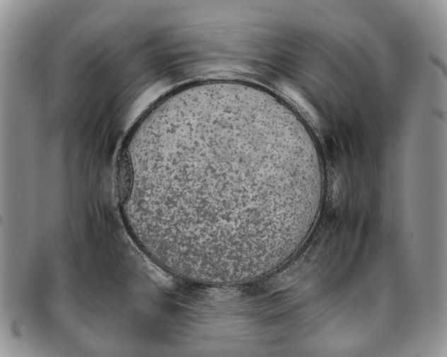 X0000096701384200803041312
