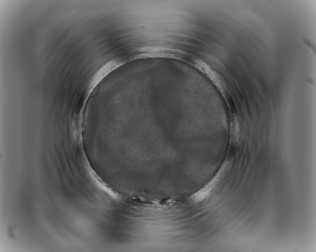 X0000096701386200803041312