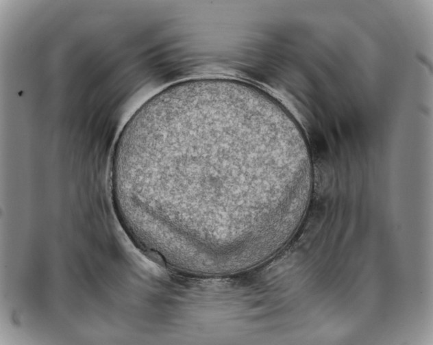 X0000096701387200803041312