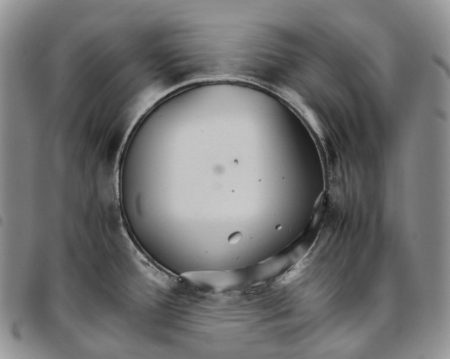 X0000096701388200803041312