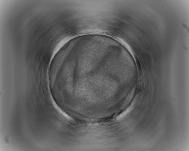 X0000096701389200803041312