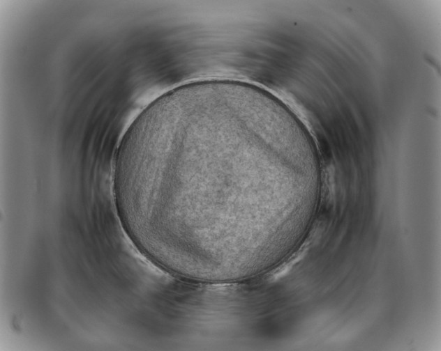 X0000096701390200803041312