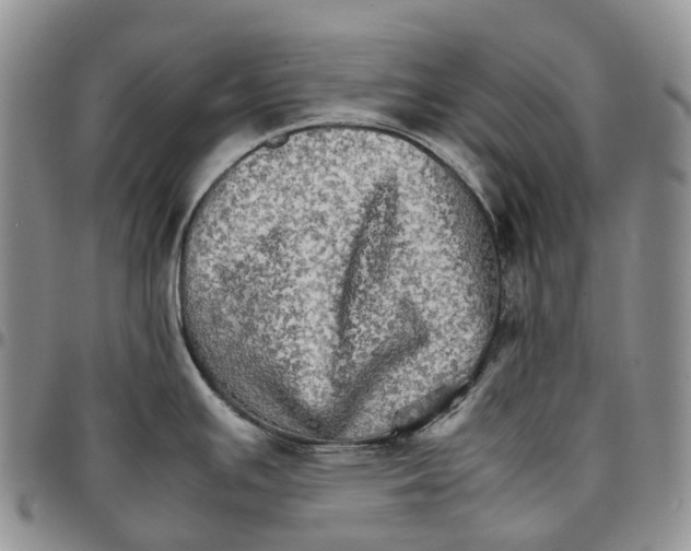 X0000096701391200803041312