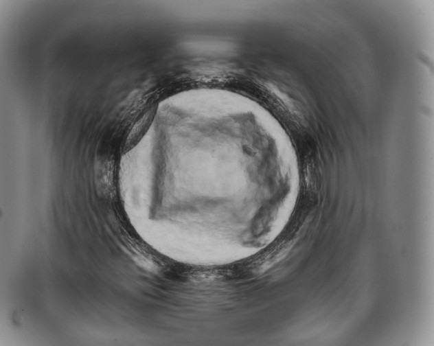 X0000096701396200803041312