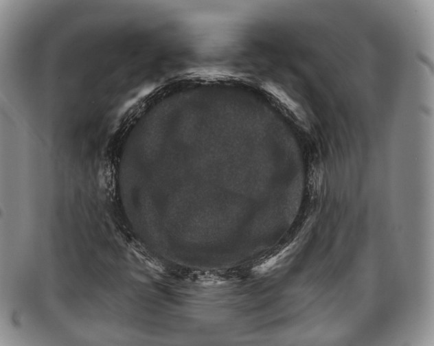 X0000096701398200803041312