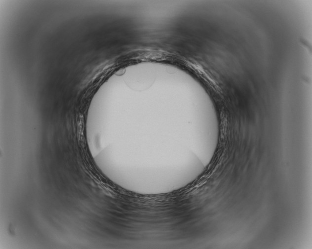 X0000096701399200803041312