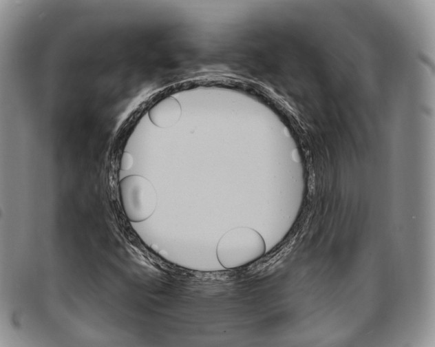 X0000096701400200803041312