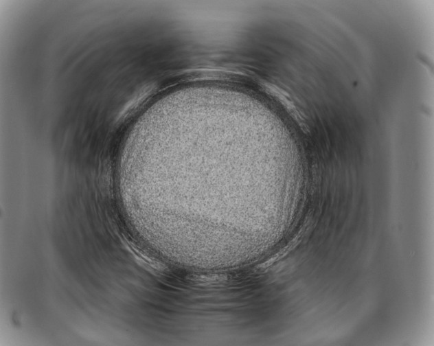 X0000096701403200803041312