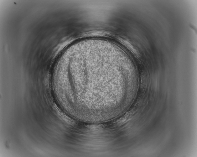 X0000096701404200803041312