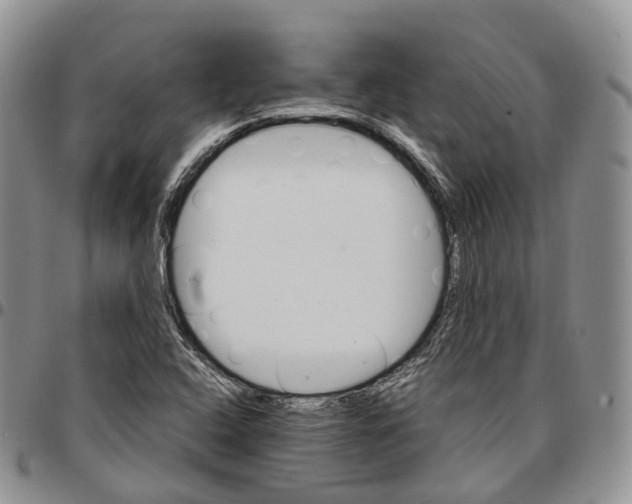X0000096701408200803041312