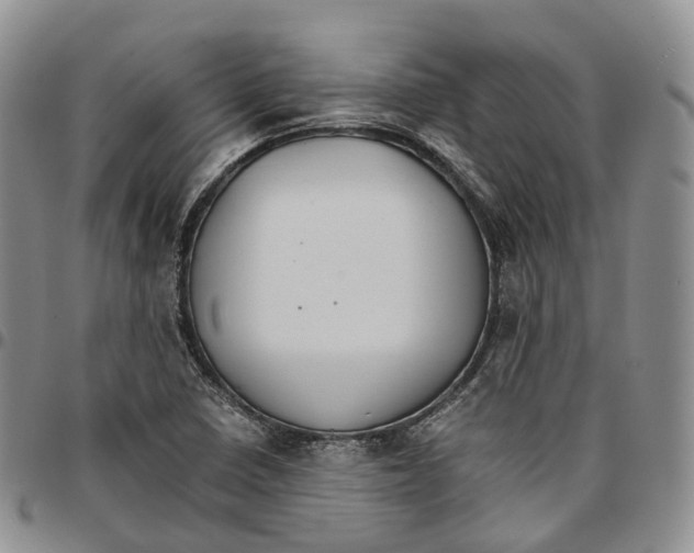 X0000096701410200803041312